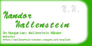 nandor wallenstein business card